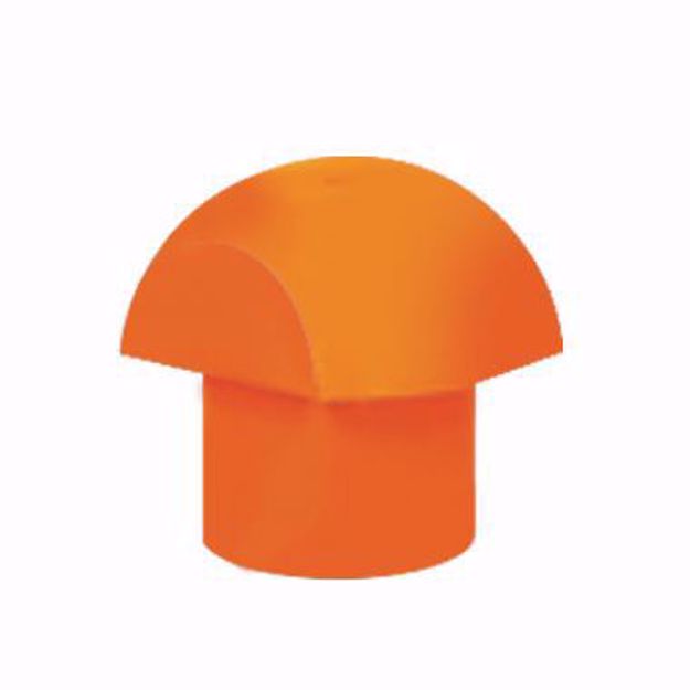 تصویر از کلاهک قارچی نارنجی